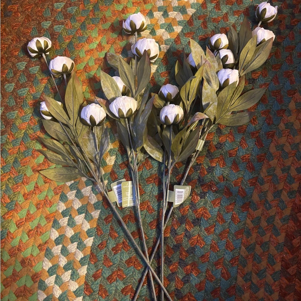 4 NEW Cream Peony Stem by Ashland®